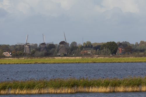 IMG 3615