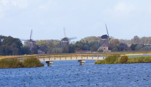 IMG 3667